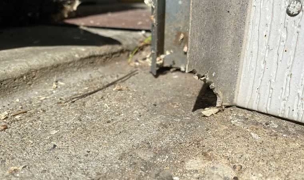 Garage Door Gasket Chewed Through