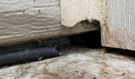 Damaged Overhead Door Gasket & Side Weather Seal