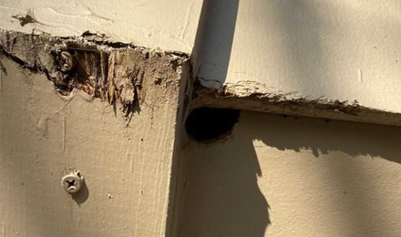 Hole Under Fireplace