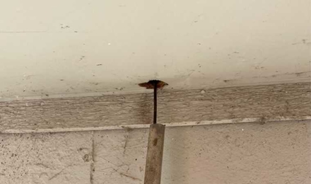 Vertical Entry Point