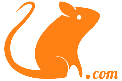 Orange Mouse